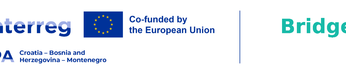 logo interreg bridge