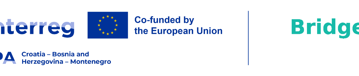 logo interreg bridge